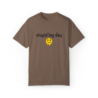 Stupid Leg Day Unisex T-shirt